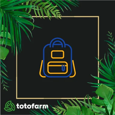 먹튀사이트 검증 리스트
